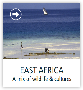 east-africa-safaris